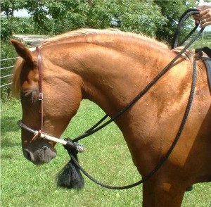 Obrazek