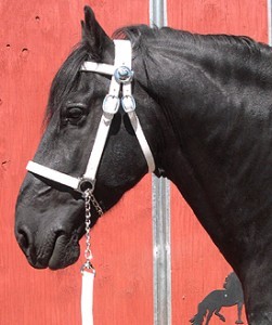 Obrazek
